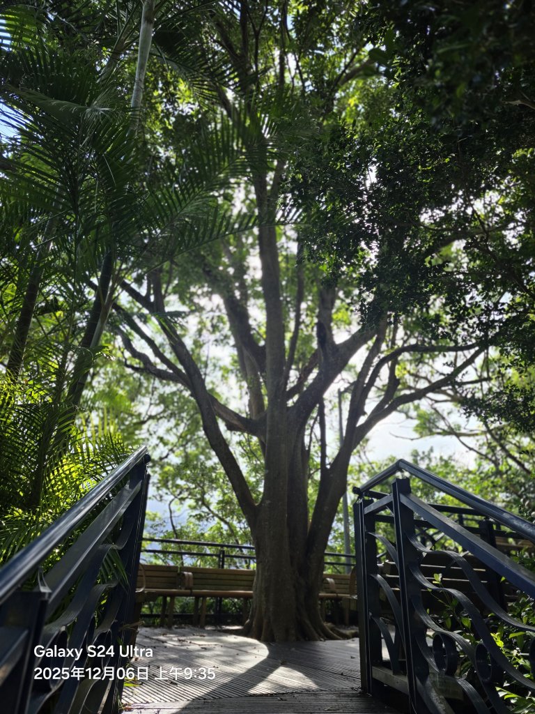 2025-12-06微笑山線：【二格山系】和美山螢火蟲段_2956808