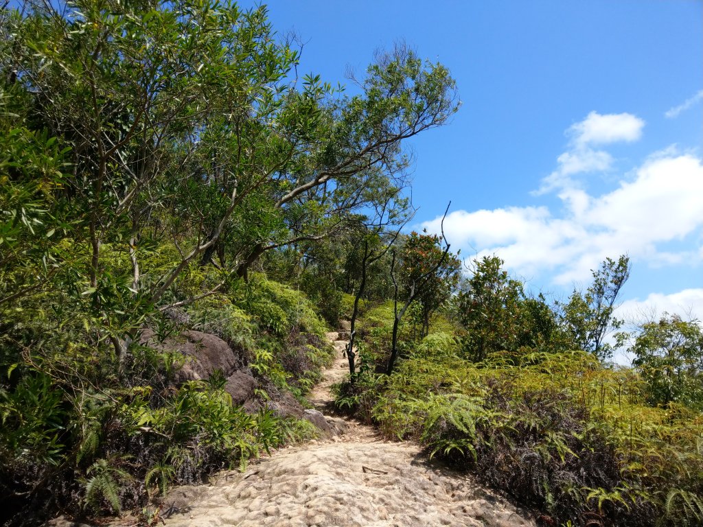 劍潭山步道_1453895