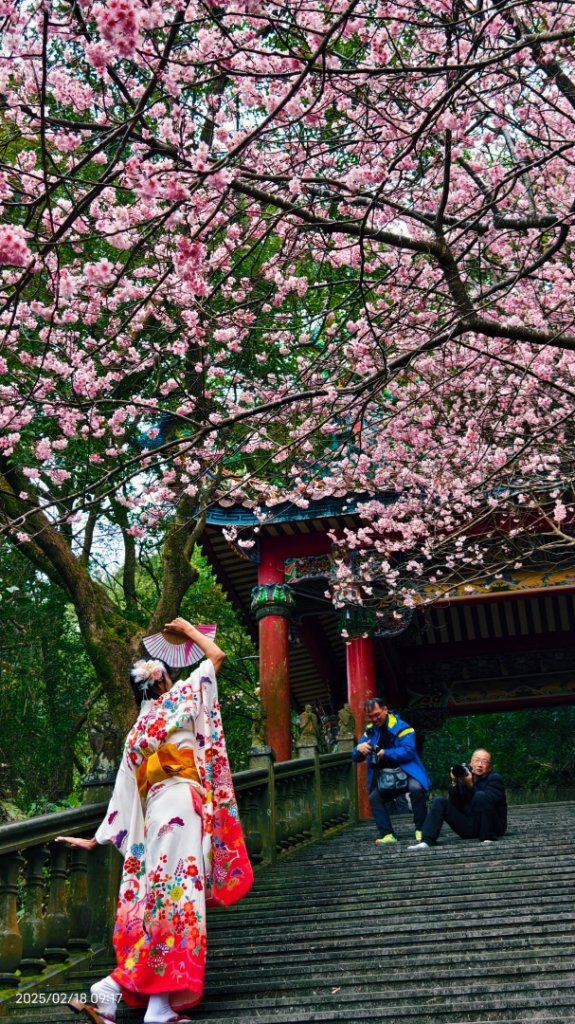 內湖碧山巖 2/18_2714823