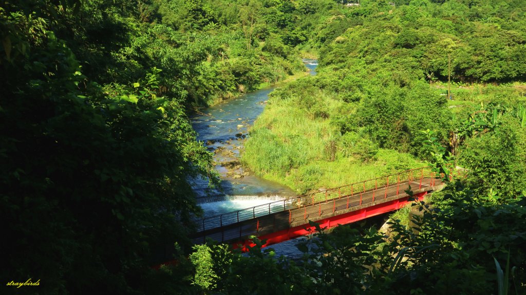 【淡蘭中路】翻山越嶺的茶商之道_981229