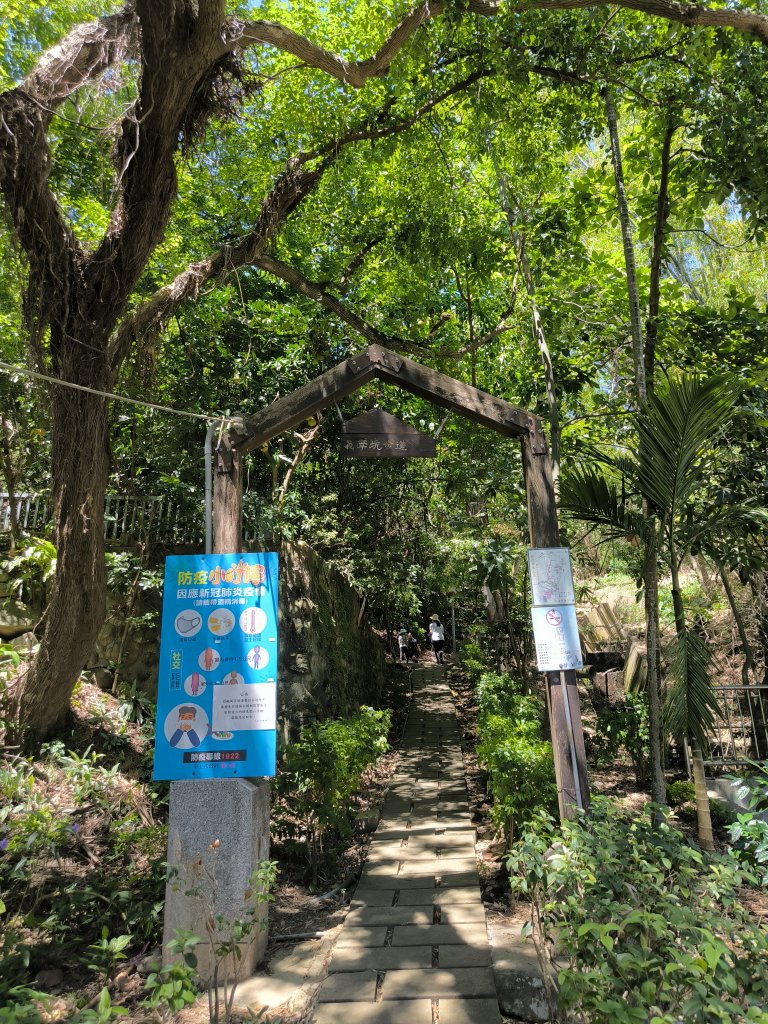 20250906泰山辭修公園、尖棟山、69步道、瓊仔胡_2879479