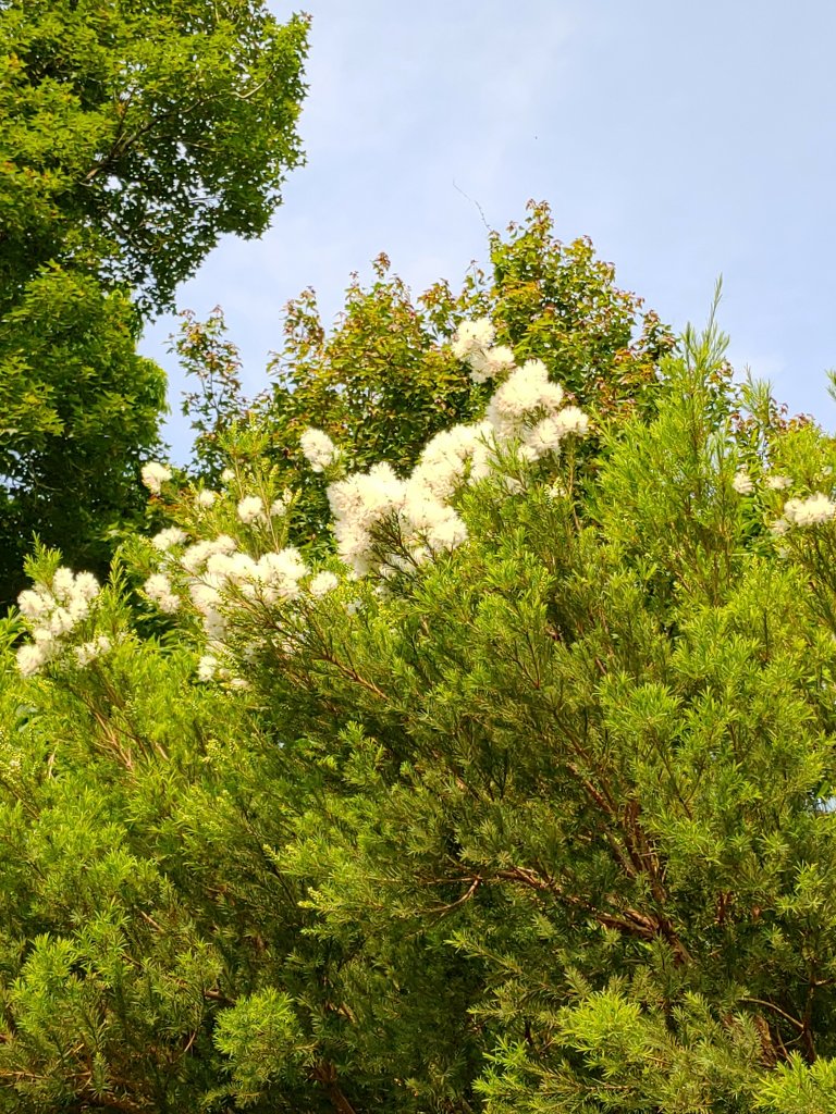 出關古道：聖關段(關刀山步道)_2144921