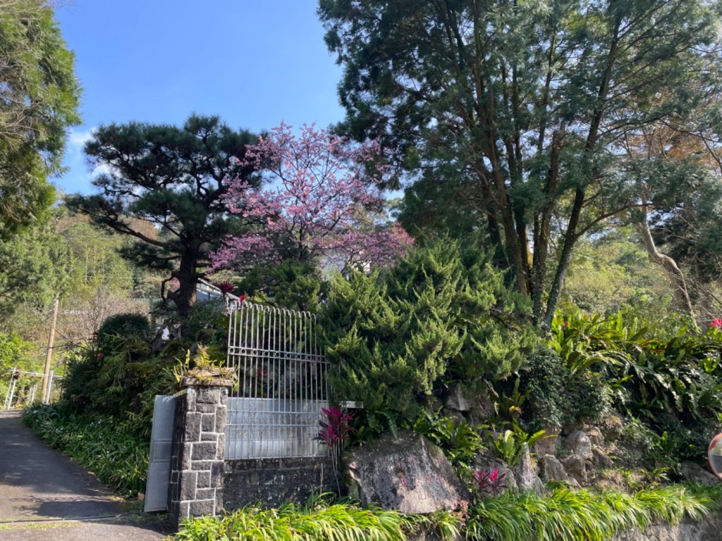 大崙頭山步道_2014585