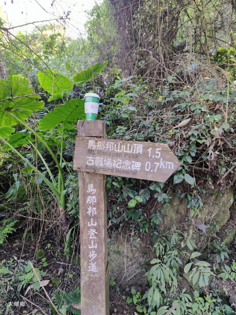 苗栗馬那邦山_1965123