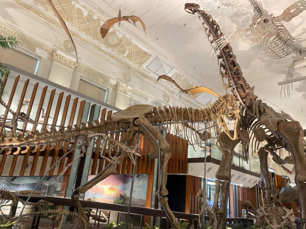 雨天備案💙 台灣博物館的古生代館-台大動植物館免費參觀-北投♨️季封面圖