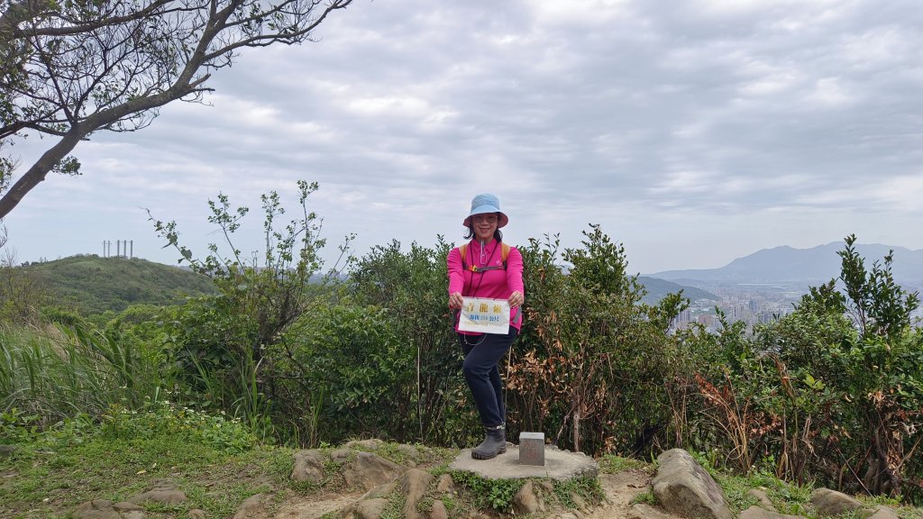 (姨婆趴趴走)第五十集:新北樹林大同山、青龍嶺、大棟山諸峰連走封面圖