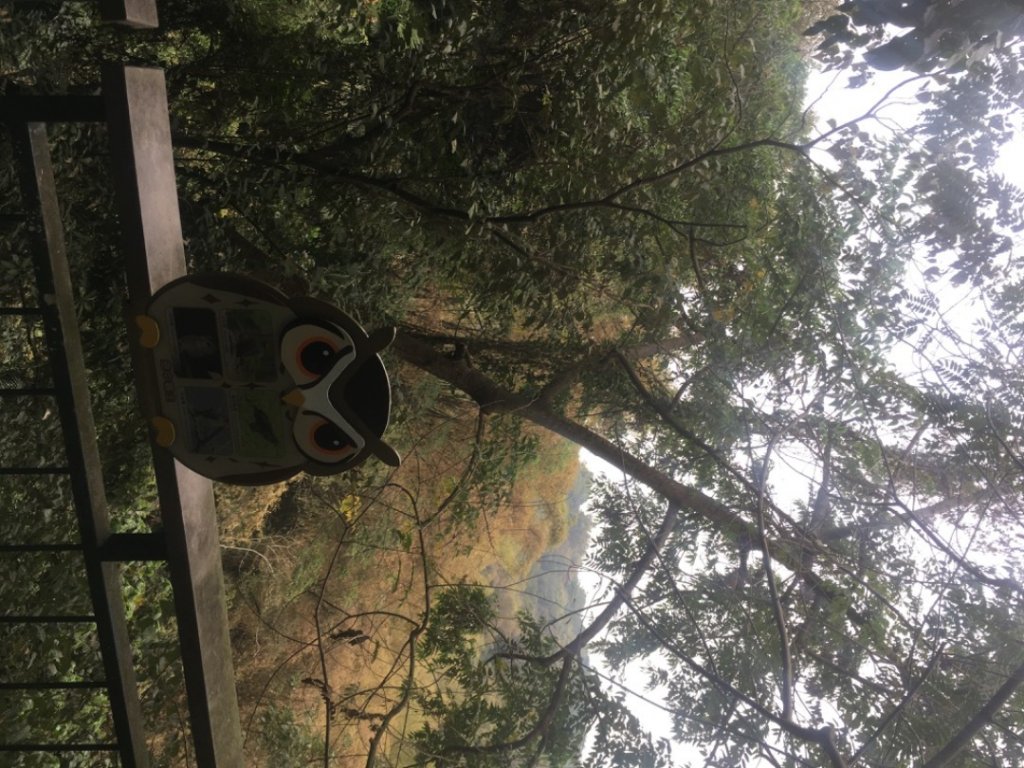 蘭潭後山步道_2041860