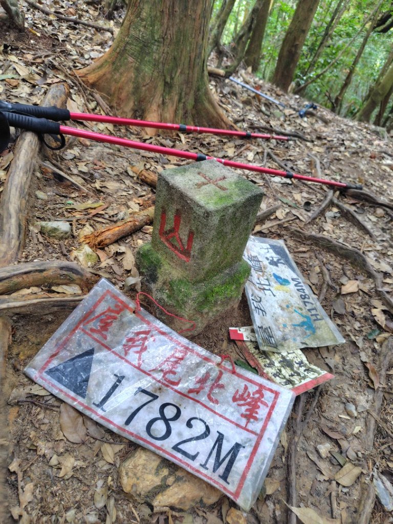 屋我尾山_2931486