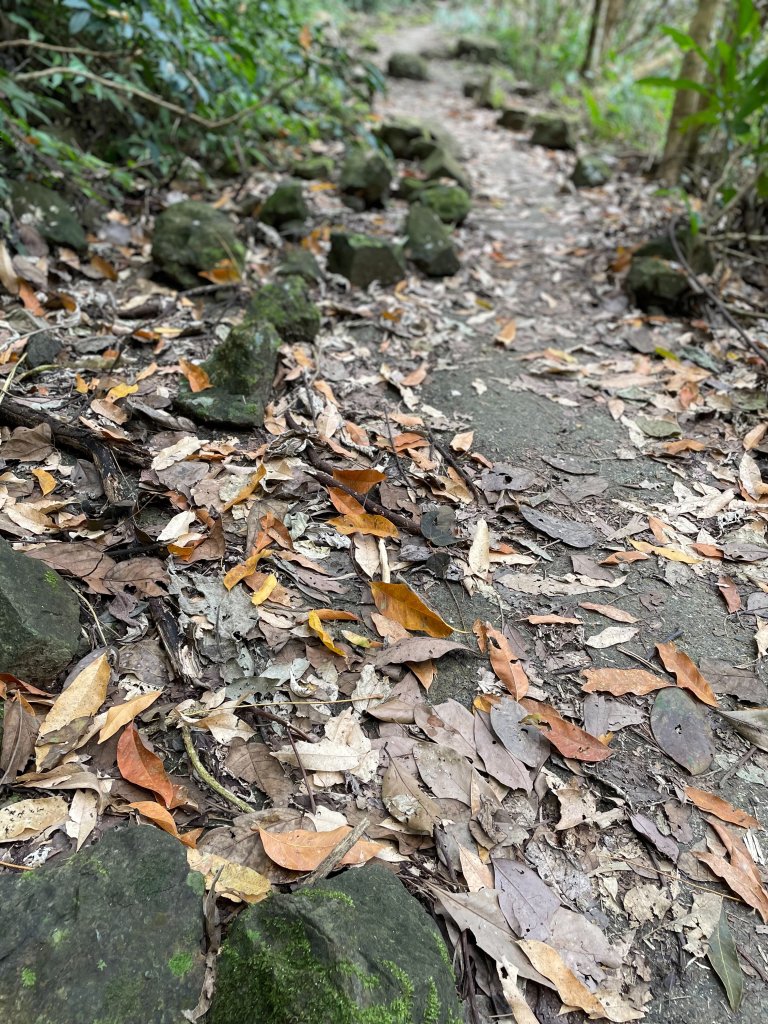 小百岳 三腳南山_2686782