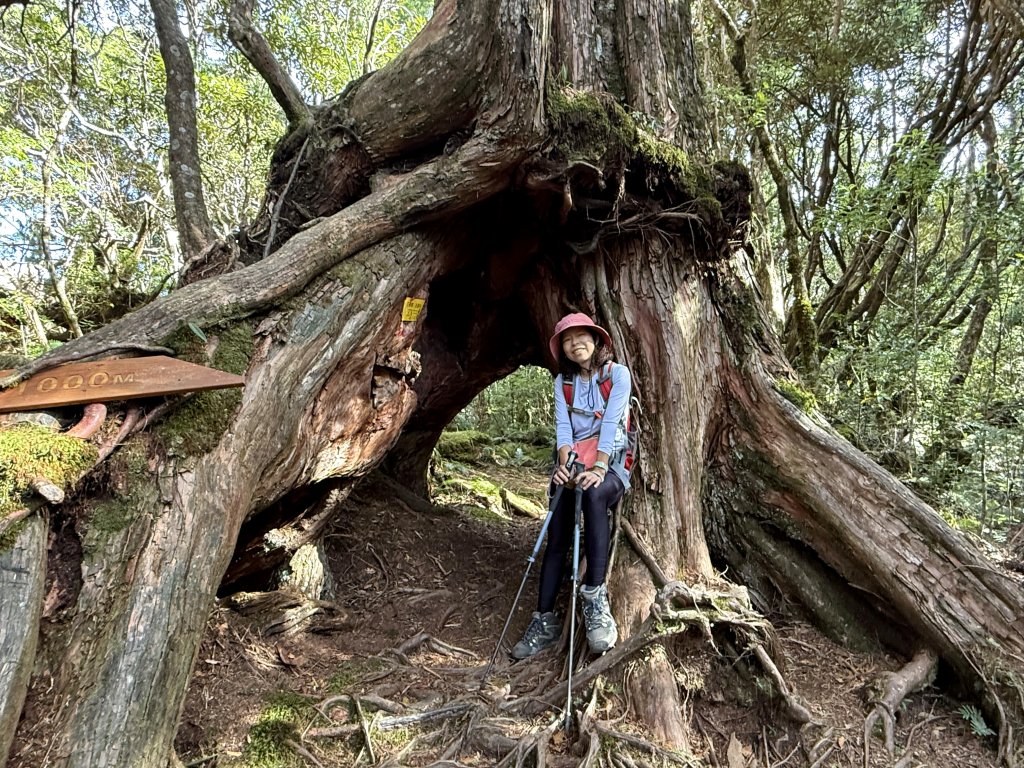塔曼山 連走 拉拉山森林遊樂區 O繞 20251011_2923680