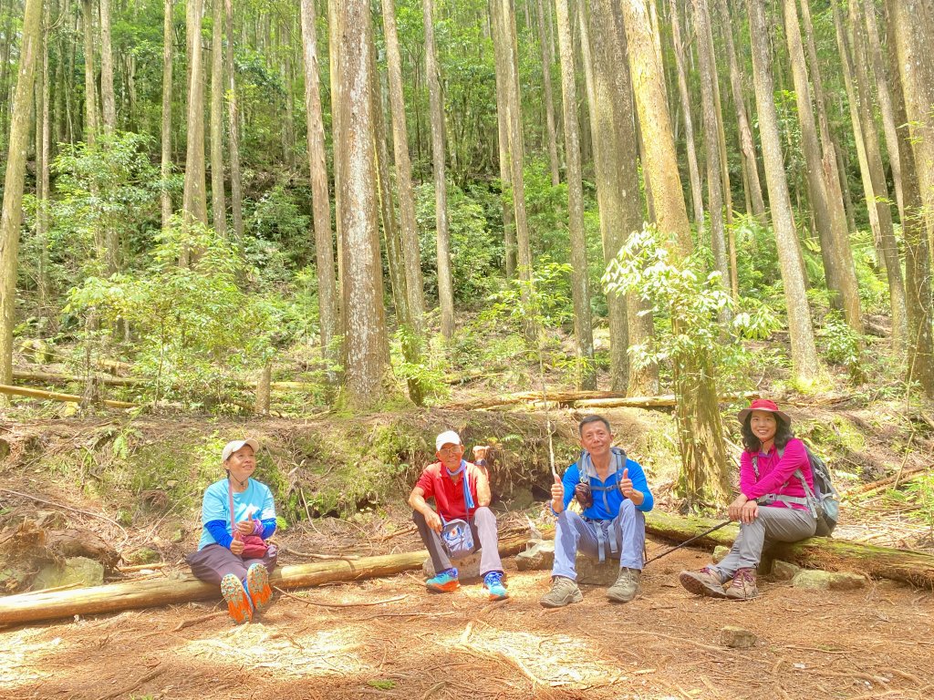 醜崠山納涼趣    2024/6/23封面圖