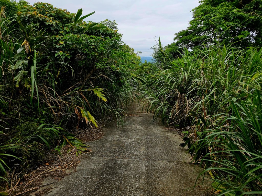 加奈美山-小百岳#95-台東縣大武鄉_2777006