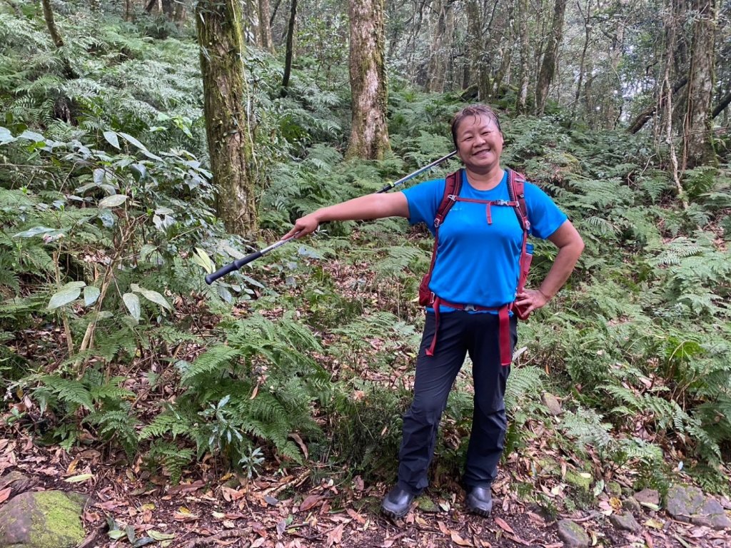 鵝公髻山（小百岳）鵝公髻山東北峰_2449854