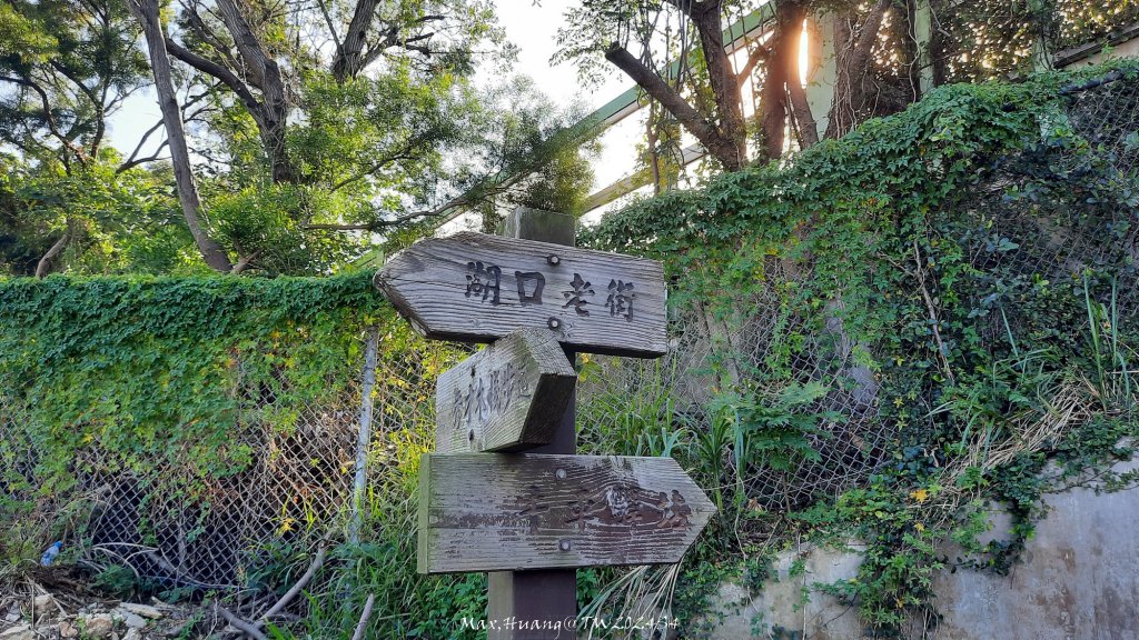 《新竹》湖口老街｜金獅古道O繞茶香及仁和步道20241206_2663701