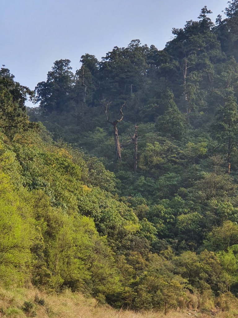 中級山-松蘿湖_2888457