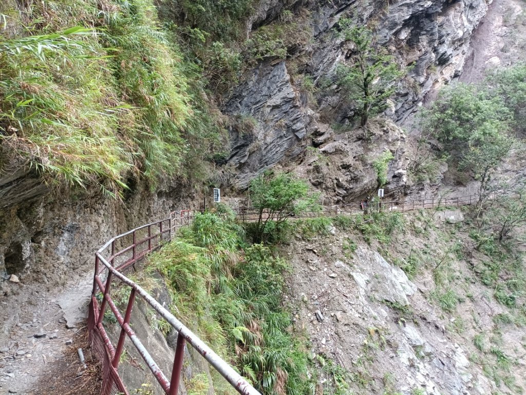 2022/5/13綠水合流步道_1711779