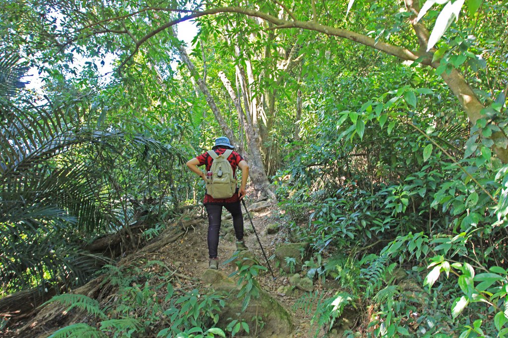 總督府步道.頭寮山_752447