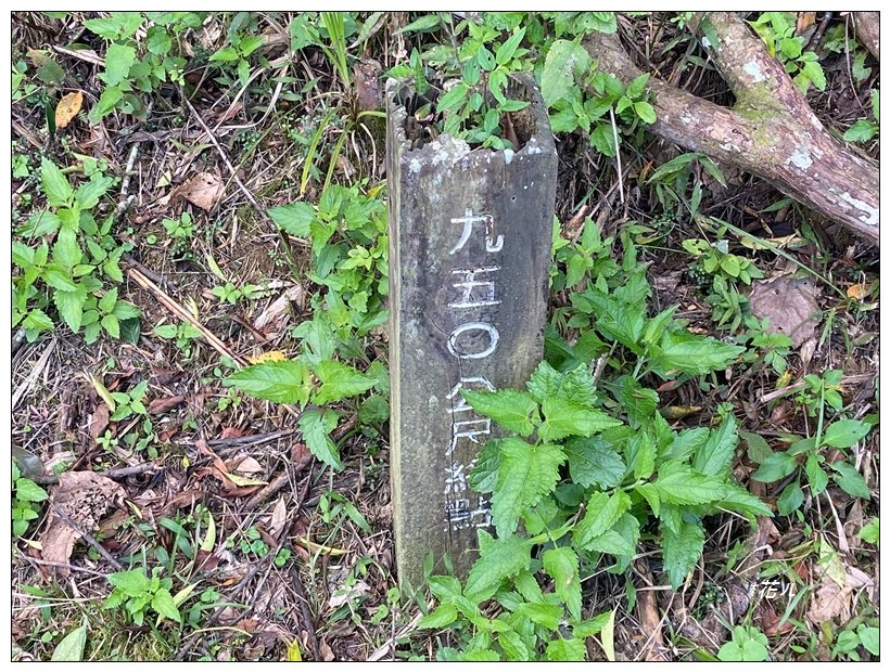 荷戈富士山(史努櫻步道)_2610421