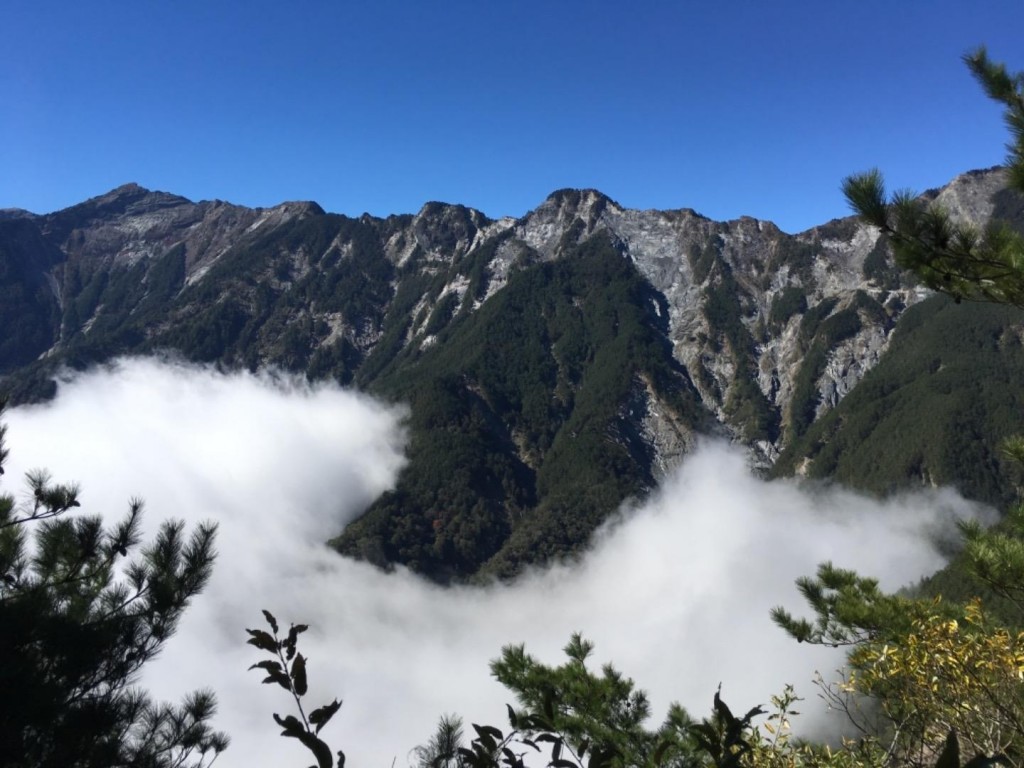 南橫向陽國家森林步道。幽靜好走_250506