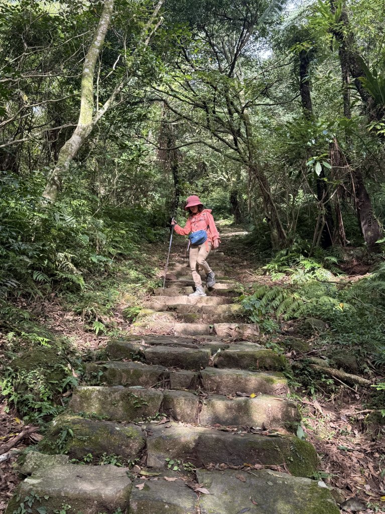 二子坪步道 經遊憩區 上面天山 20251108_2935042