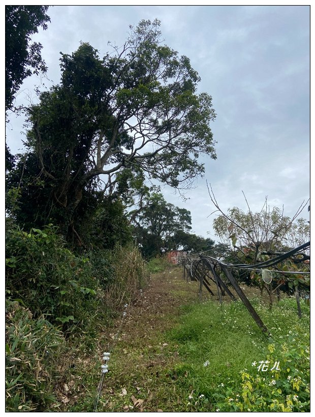 尾文坑山(台中、和平)_2653382