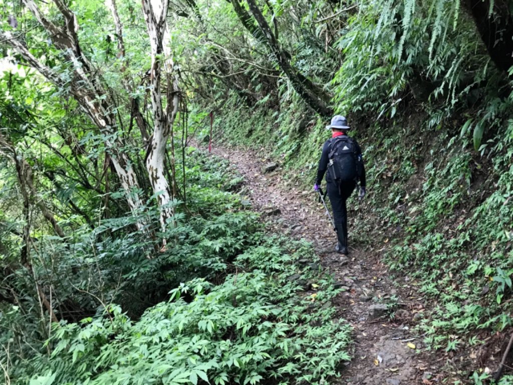 崩山坑古道環走中坑古道_632810