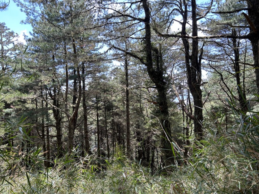 25/04/11羊頭山單攻封面圖