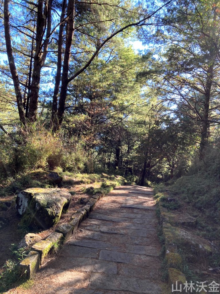 2023-11-26 東埔大草原步道_2363798