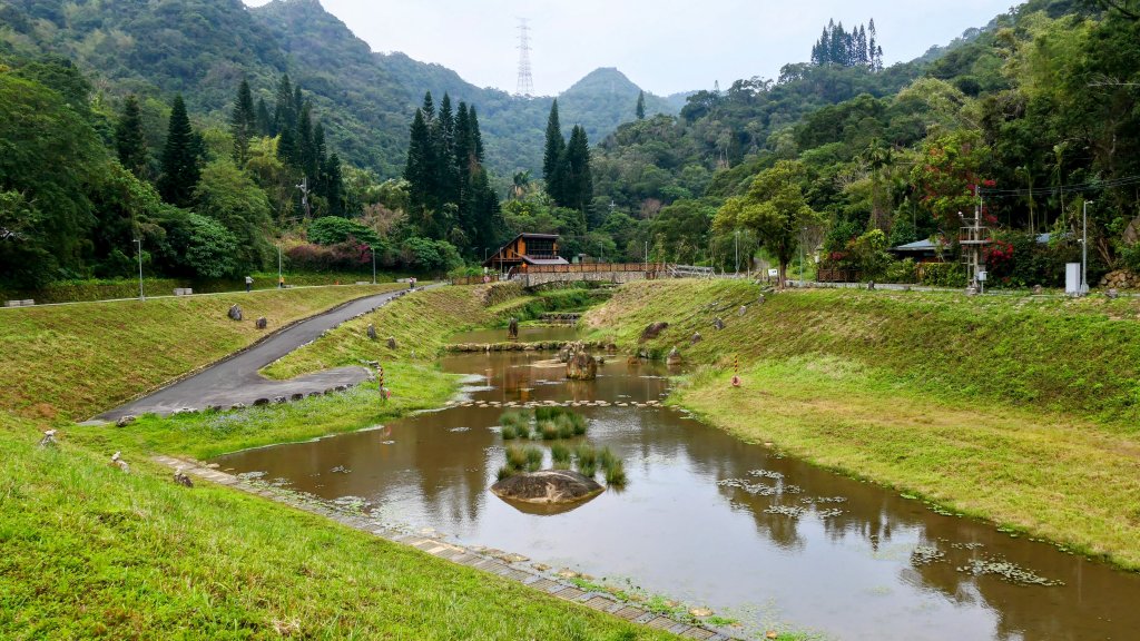 《臨江仙・碧山巖櫻花》_2714219