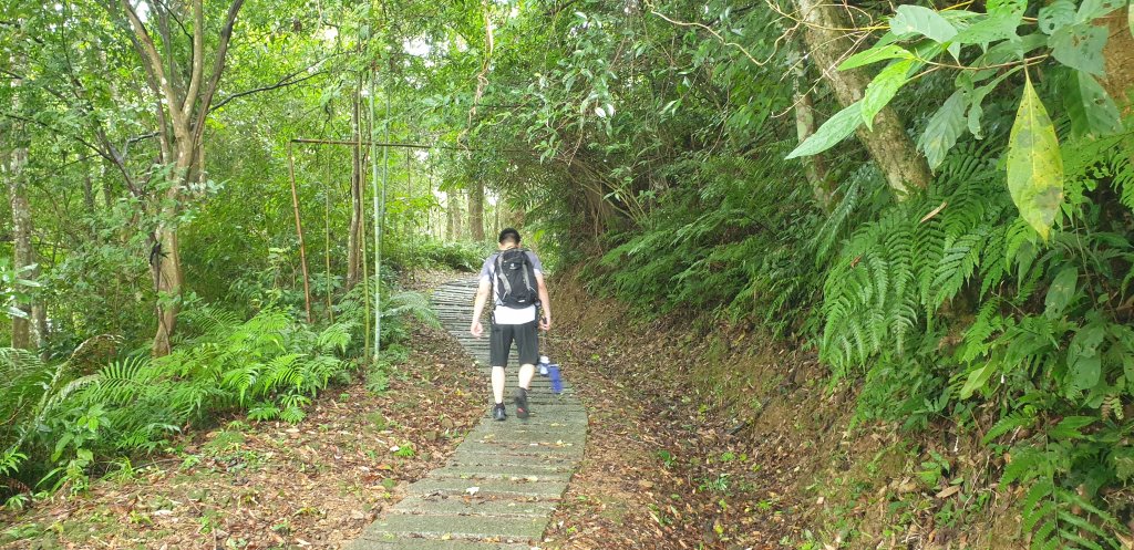 騎龍古道_1752111