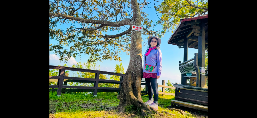 崁頭山(小百岳#64)嘉林湖山 咖啡山 獅額山環形_2667573