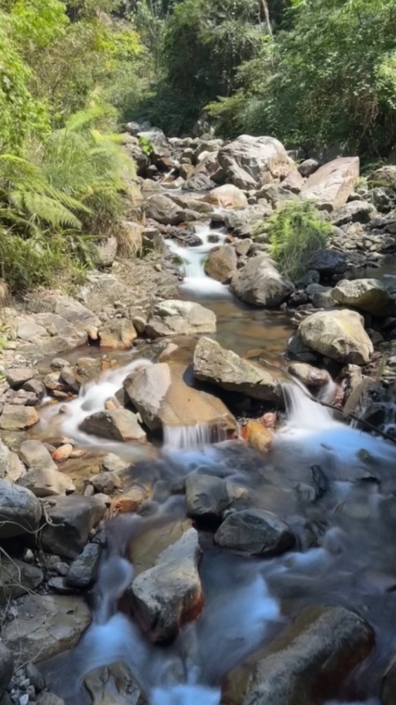 裡冷上唐麻丹O繞+蝴蝶谷_2742912