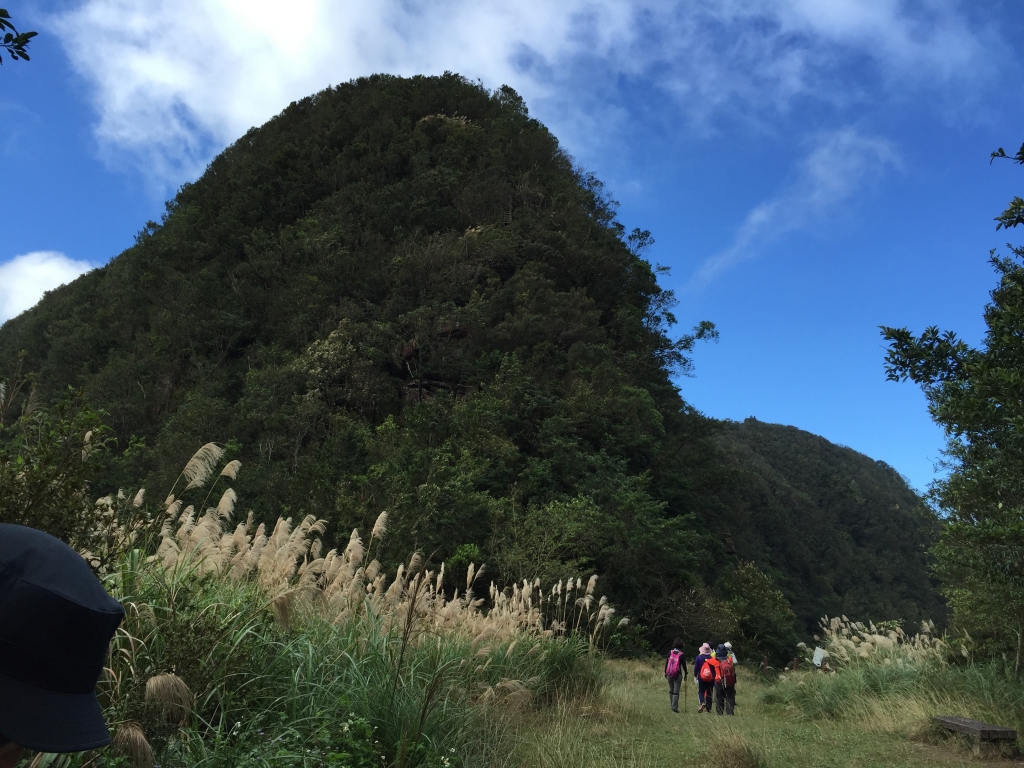 獅仔頭山登山步道（隘勇線）_77198