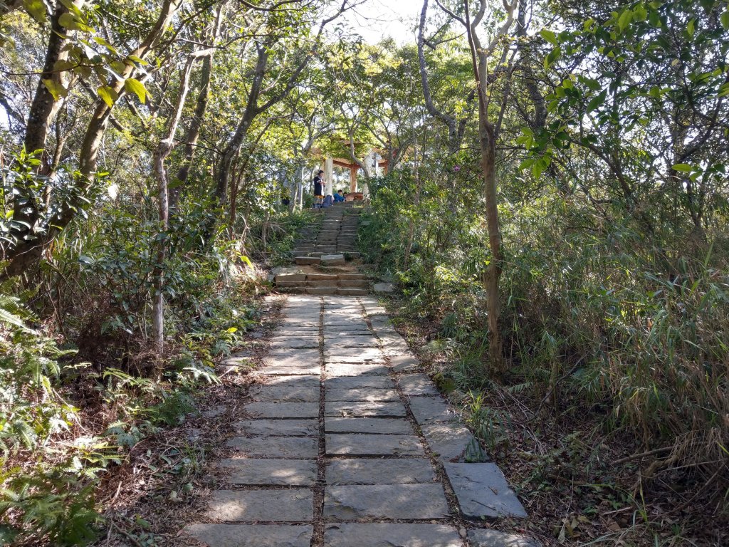 新竹飛鳳山(中坑山)小百岳_880198