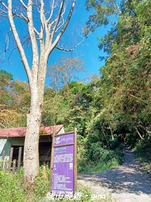 【台中和平】生態廊道。 雪山坑環線步道x巨人之手觀景點_2954023