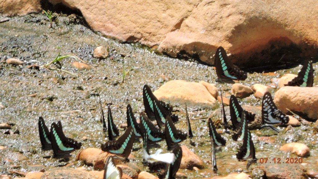 就是喜歡這個藍天白雲的FU_1030338