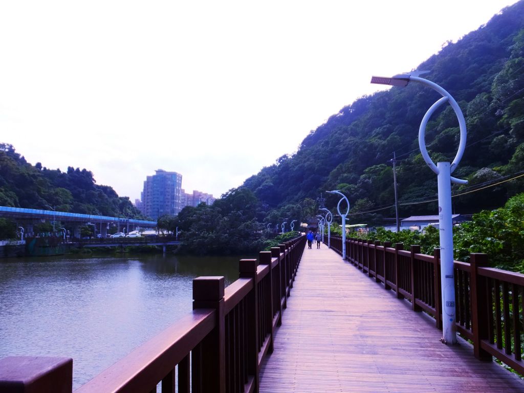 白鷺鷥山與大湖公園落羽松步道_235797