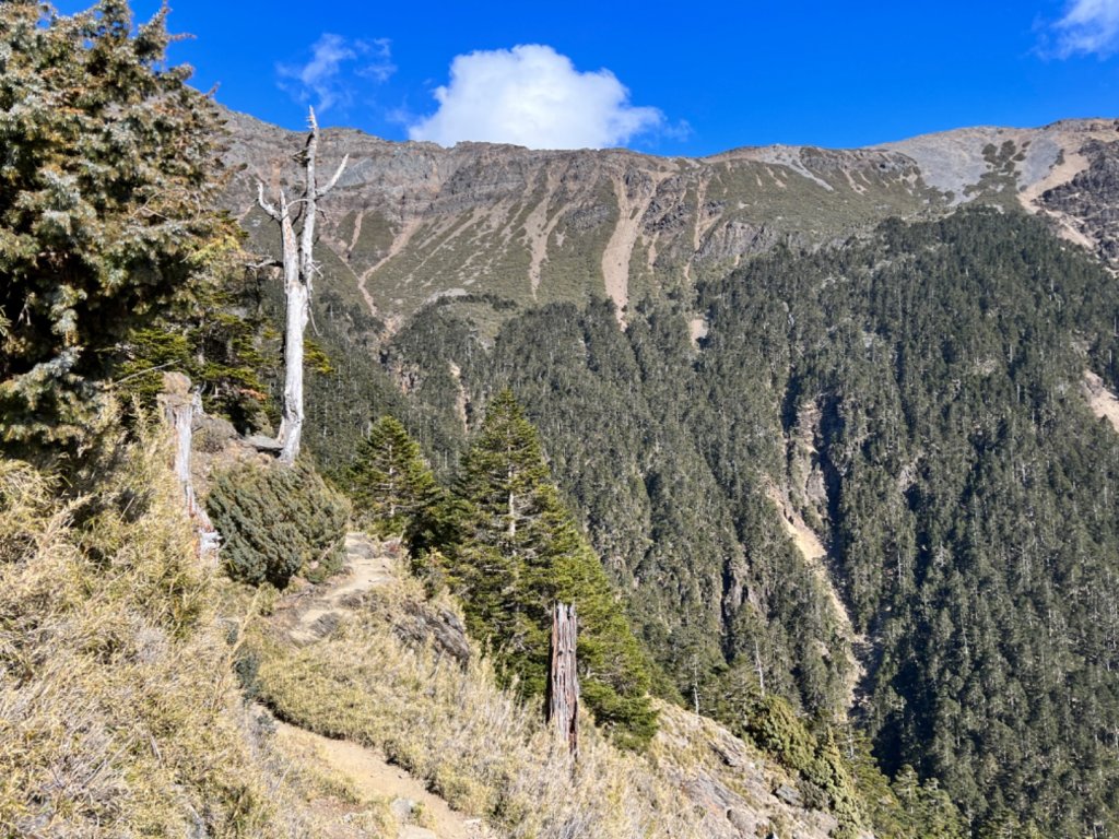 2023-03-11～12 玉山主峰、北峰、西峰_2065731