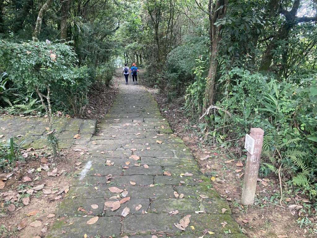 大崙頭山_2532680