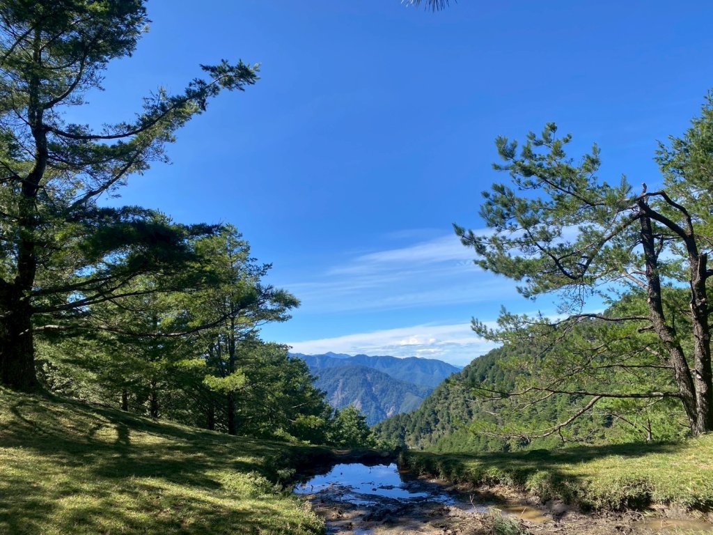 2025/08/17塔塔加、麟趾山、大鐵杉_2891624