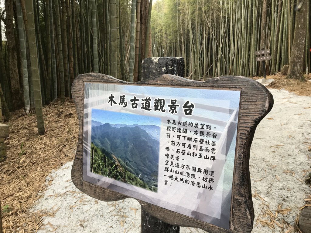 110年4月25日雲林  雲嶺之丘 五元二角 木馬古道_1456535
