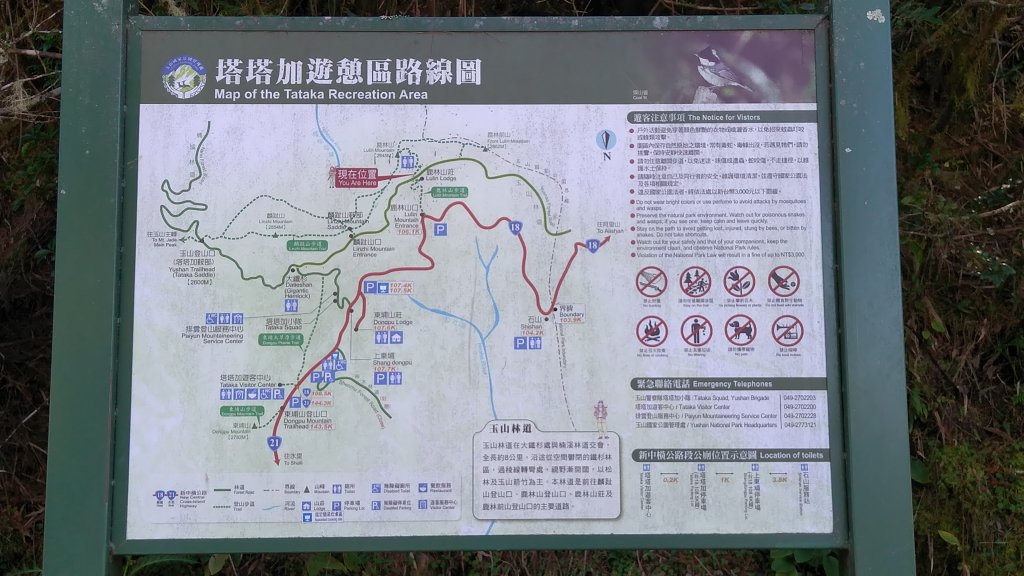 嘉義 阿里山 鹿林山、鹿林前山、真鹿林山、石水山_1487563