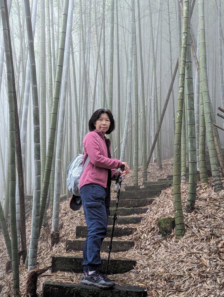 【小百岳055】雲林 石壁山_1959497