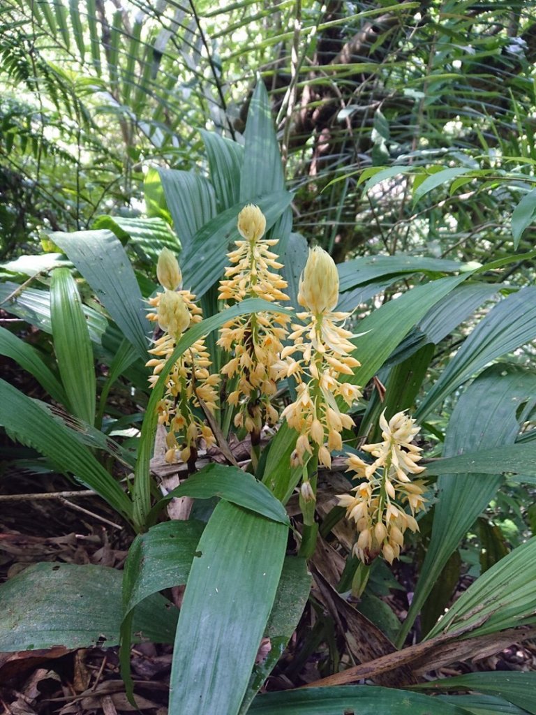 畝畝山、青林山、石古井、石硿子瀑布、石硿子古道O走_1492811