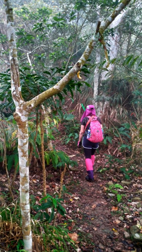 小百岳【三腳南山】_915751