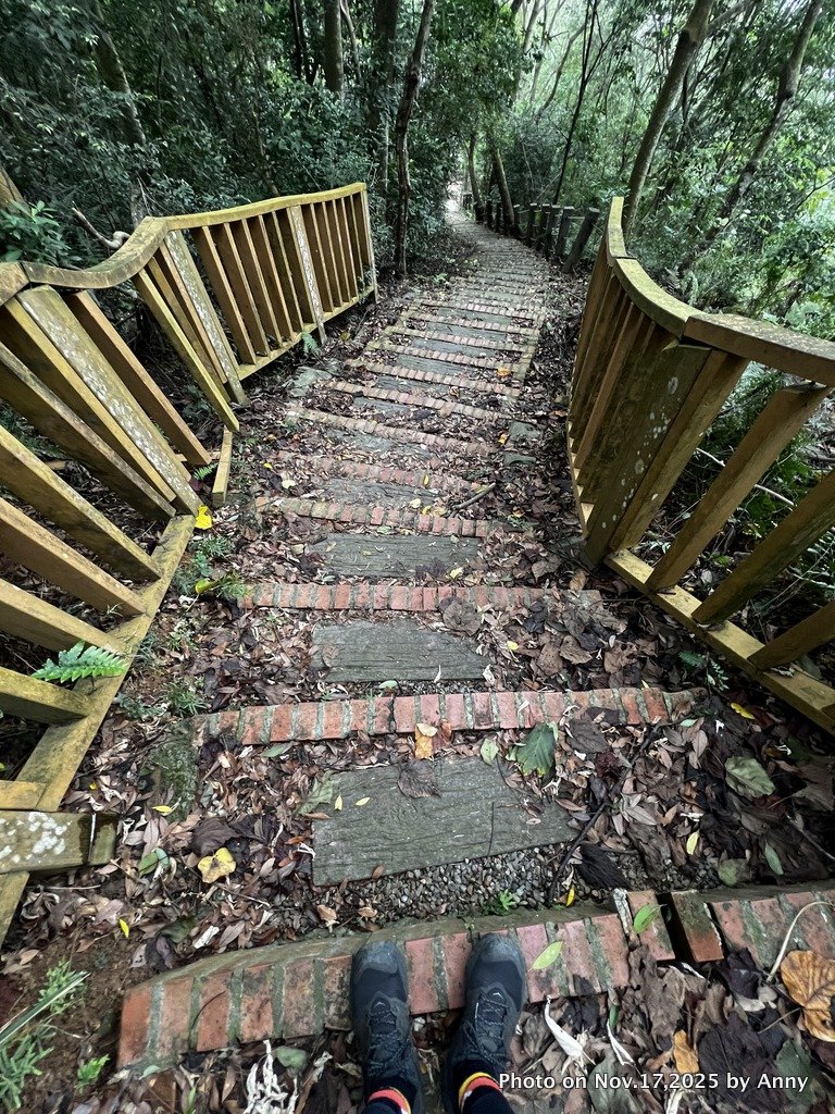 苗栗三員縱走_2942872