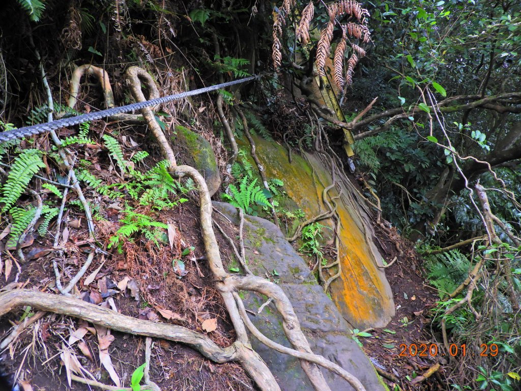 臺北市 文山 中埔山東峰_817240