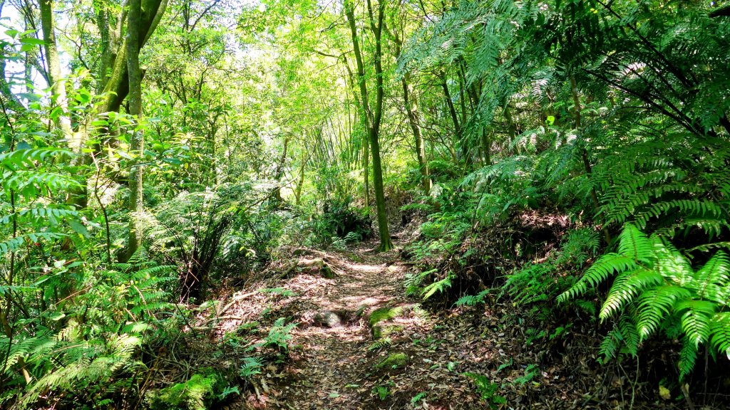 猴崁古道。盧特訪積_2773278