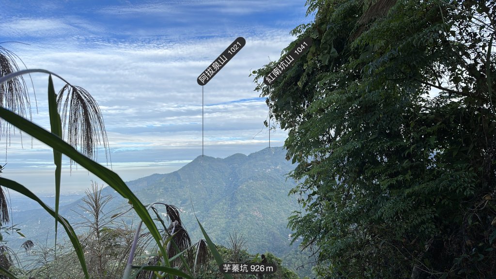 竹崎十三連峰 (阿里山四大天王越野賽路線)_1932755