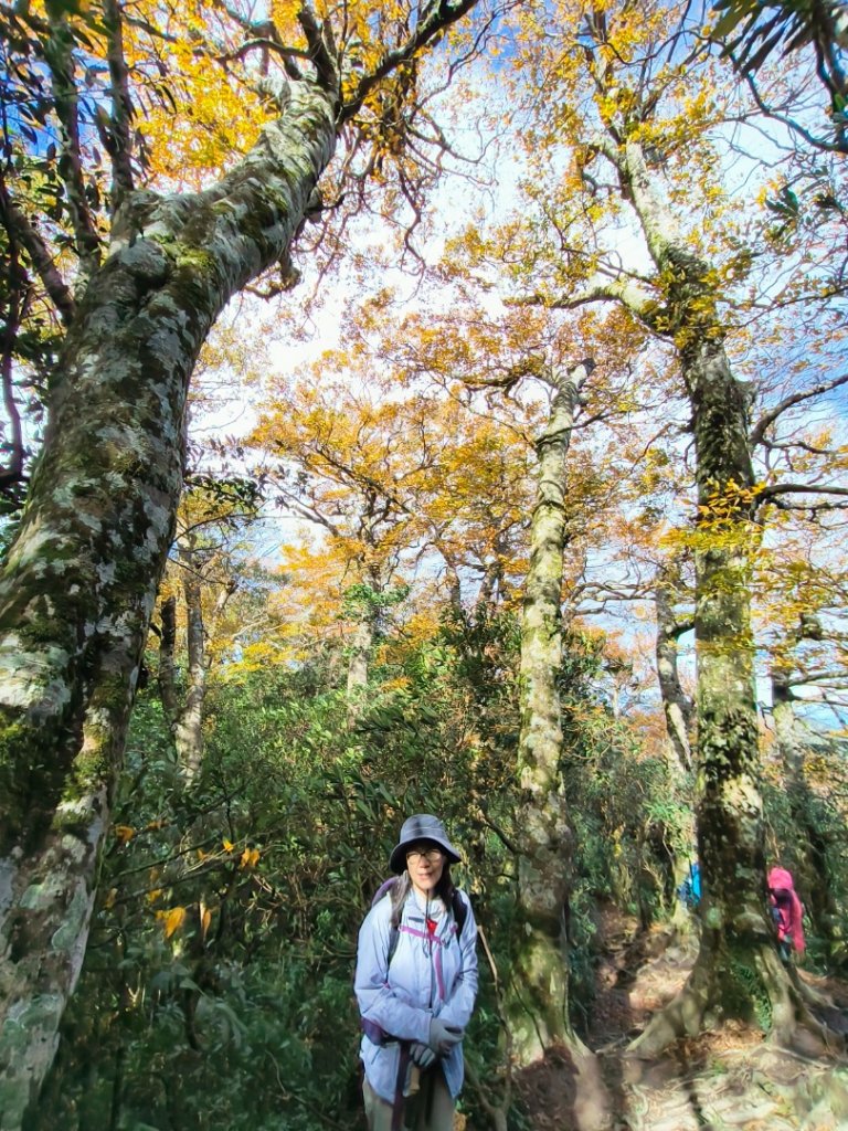 1121125 鳥嘴山縱走貴妃山_2363965